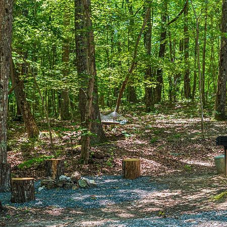 Coyote Cabin At Woodland Retreat At Desoto Beside Desoto State Park Fort Payne Exterior photo