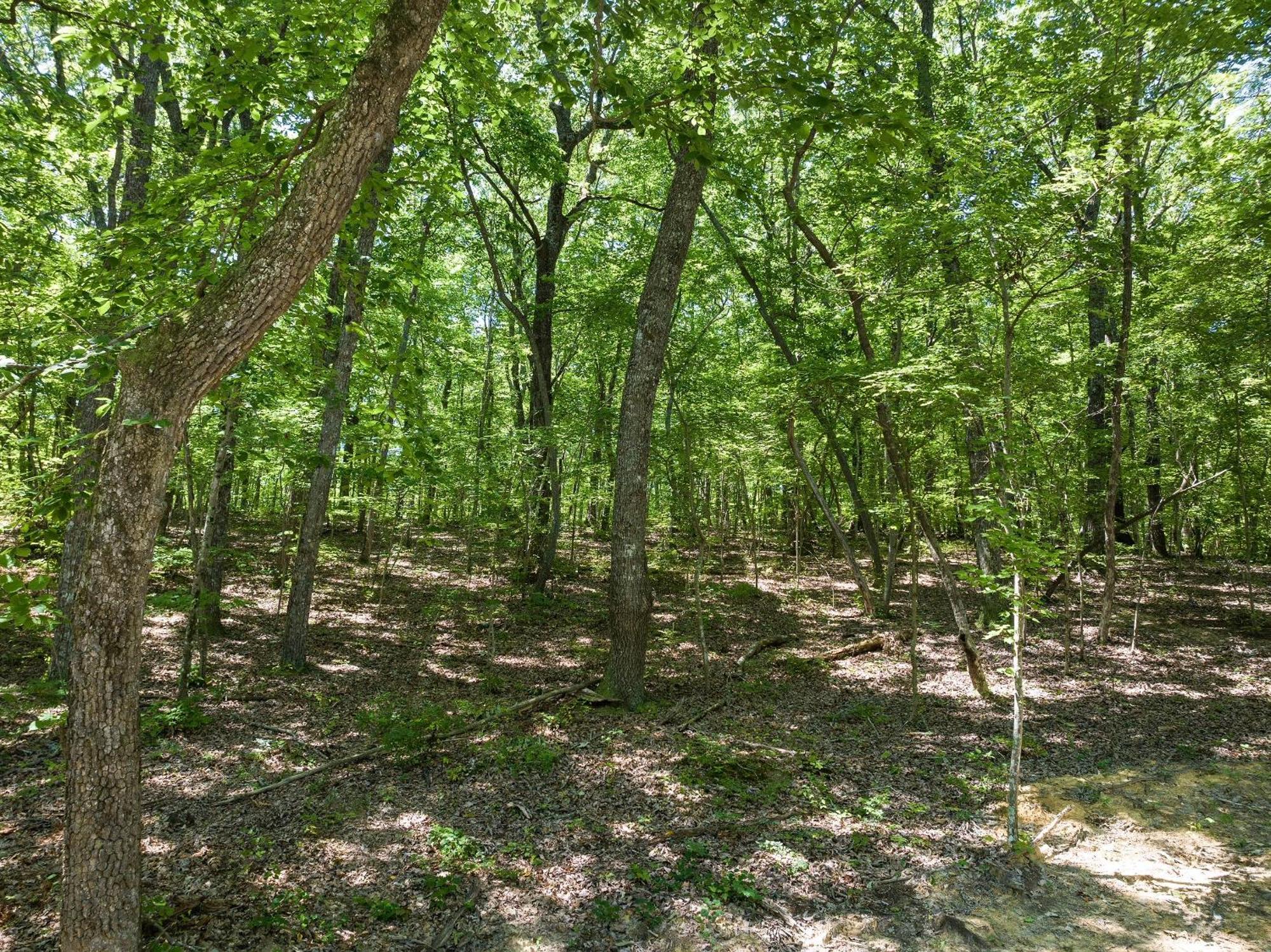 Coyote Cabin At Woodland Retreat At Desoto Beside Desoto State Park Fort Payne Exterior photo
