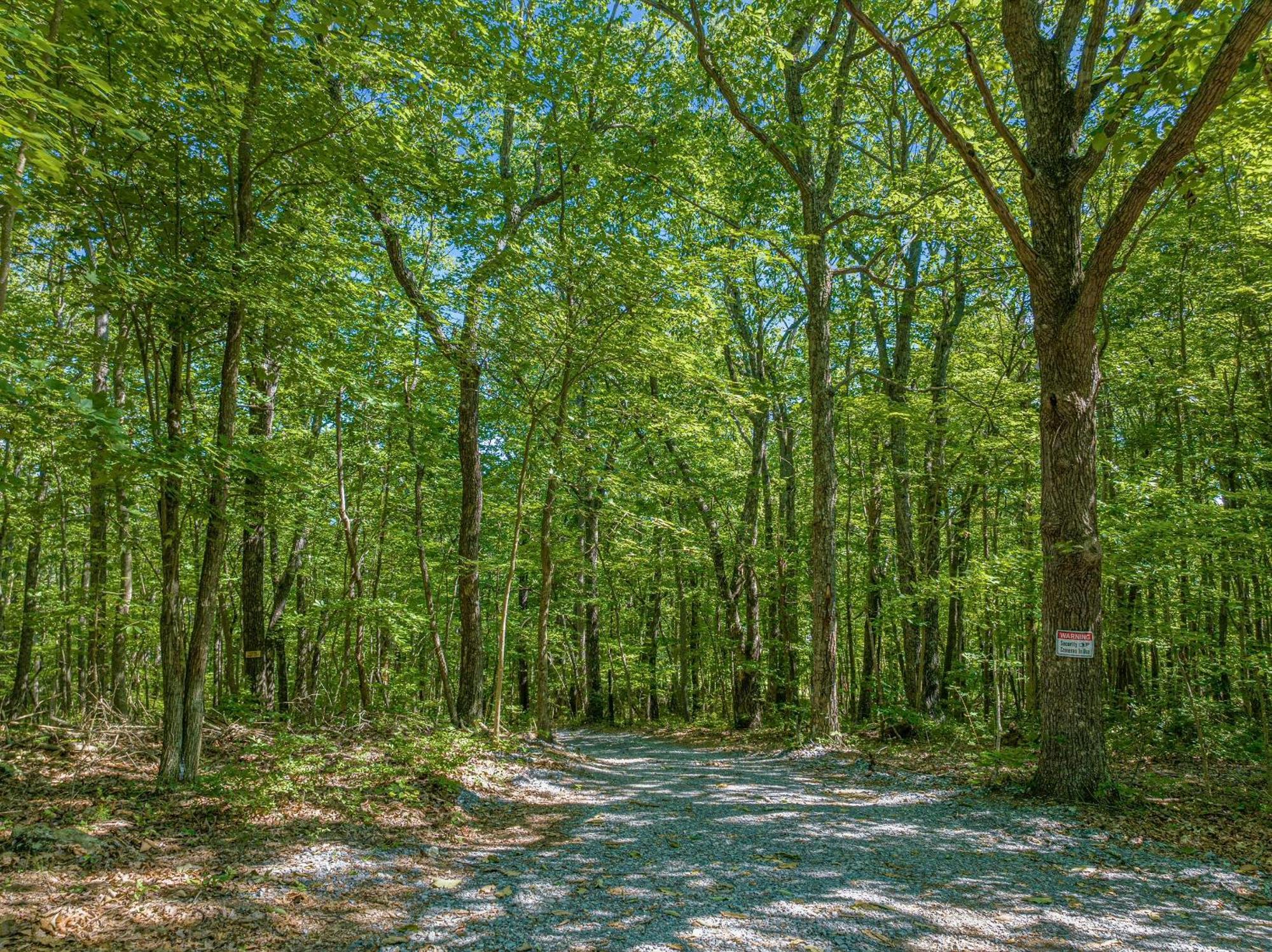 Coyote Cabin At Woodland Retreat At Desoto Beside Desoto State Park Fort Payne Exterior photo